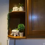 Little Square House