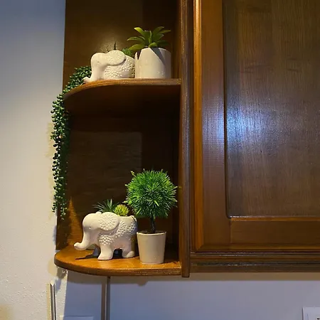 Little Square House